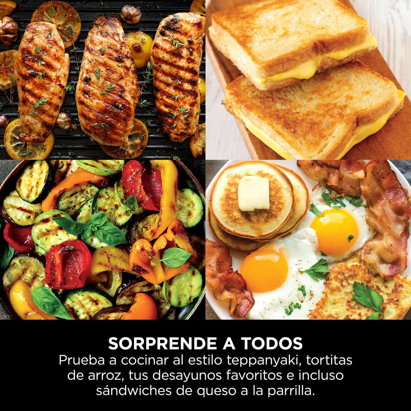 Parrilla y plancha de interior eléctrica