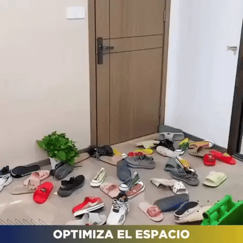 Organizador de Zapatos 12X