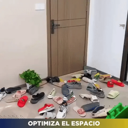 Organizador de Zapatos 12X