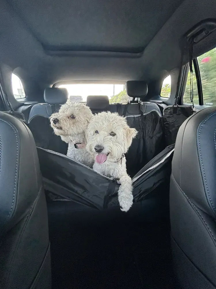 Pack Perruno 4X – Limpieza, juego, viaje y calma